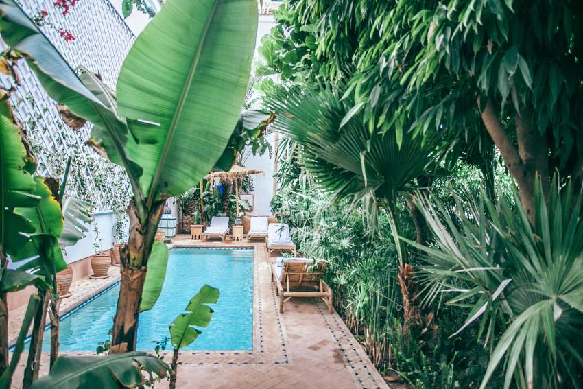 patio interieur avec une piscine et palmiers